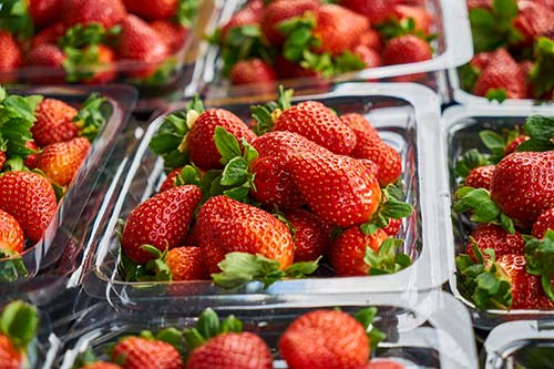Precision and Performance: Why Plastic Food Containers are Still a Kitchen Essential