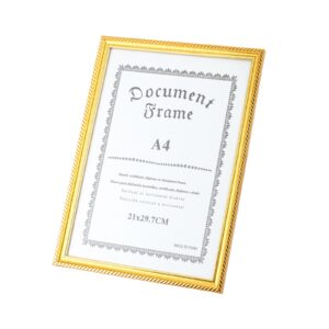 A4 Documents Frame