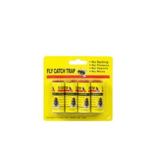 Fly Catch Trap